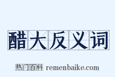 醋大反义词是什么意思的图片